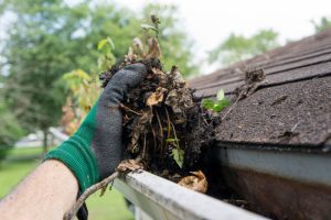 Protect Multiple Elements of Your Home with Gutter Cleaning