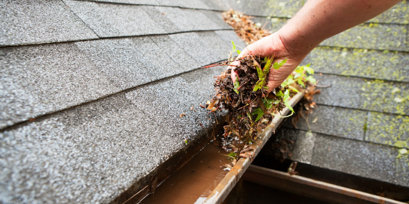 Gutter Cleaning in Windermere, Florida