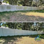 Fence Cleaning