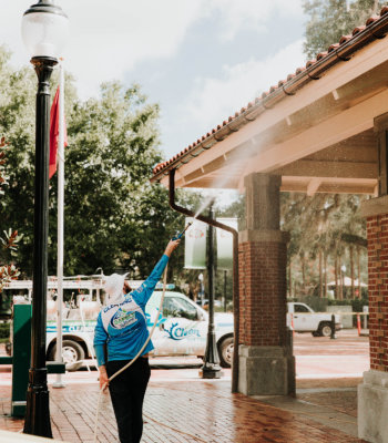 Gutter Cleaning in Oakland, Florida