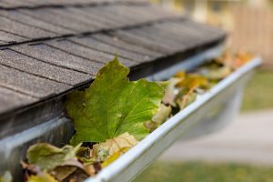 Why You Should Trust Softwashing Professionals When You Need Gutter Cleaning