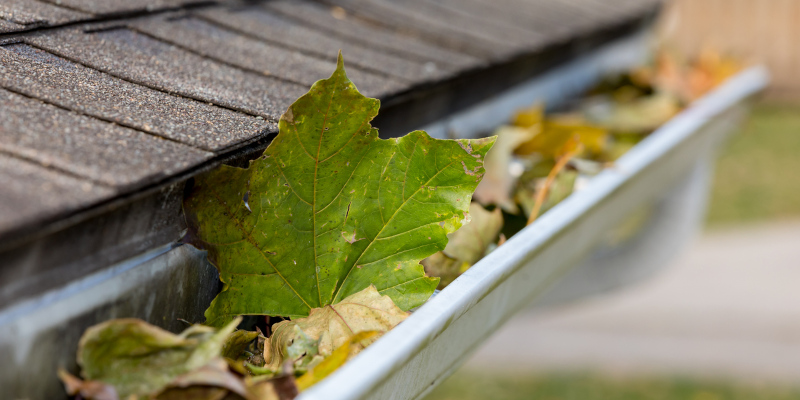 Why You Should Trust Softwashing Professionals When You Need Gutter Cleaning