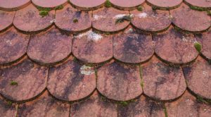 Three Reasons Softwashing is the Best Way to Clean Your Roof