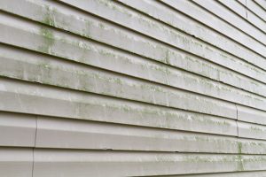 The Differences Between Softwashing & Pressure Washing
