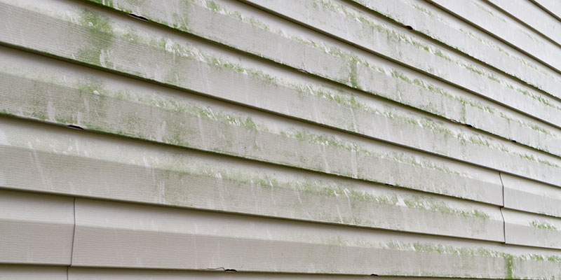 The Differences Between Softwashing & Pressure Washing