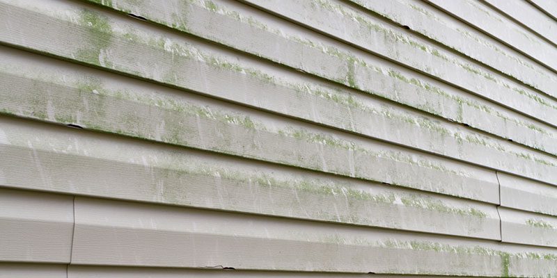 The Differences Between Softwashing & Pressure Washing
