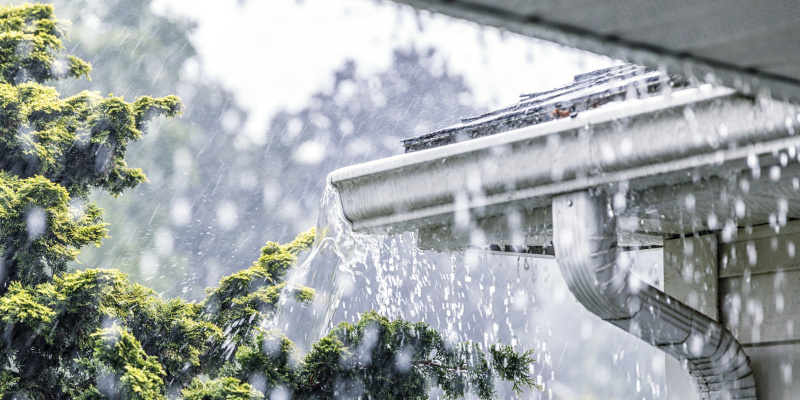 Why You Should Choose Softwashing for Gutter Cleaning