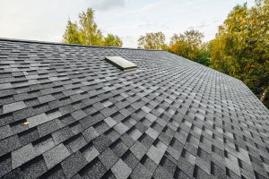 What Qualities Do the Best Roof Cleaning Companies Have in Common?