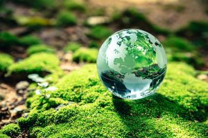 Softwashing: Helping the Planet With Each Exterior Wash