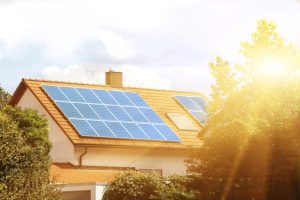 What You Should Know About Solar Panel Cleaning