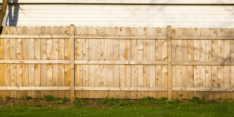 Fence Cleaning: The Safe Way to Wash