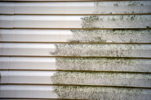Softwashing vs. Pressure Washing Services