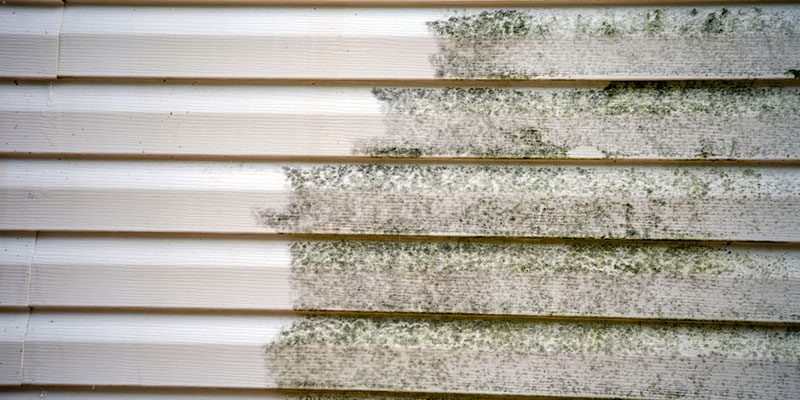 Softwashing vs. Pressure Washing Services