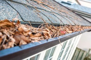 Three Signs to Schedule Gutter Cleaning Services