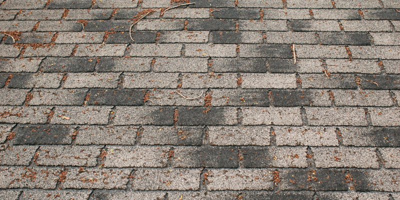 3 Reasons Not to DIY Roof Washing