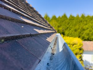 Three Reasons to Consider Professional Gutter Cleaning