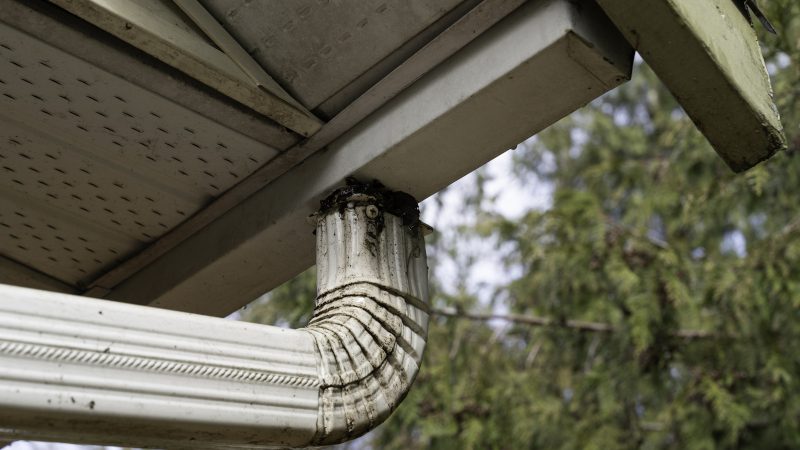 Top Signs That You Need Immediate Gutter Cleaning