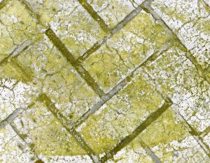 Why Concrete Turns Black, Green, or Brown Over Time, and How Professional Concrete Cleaning Can Help
