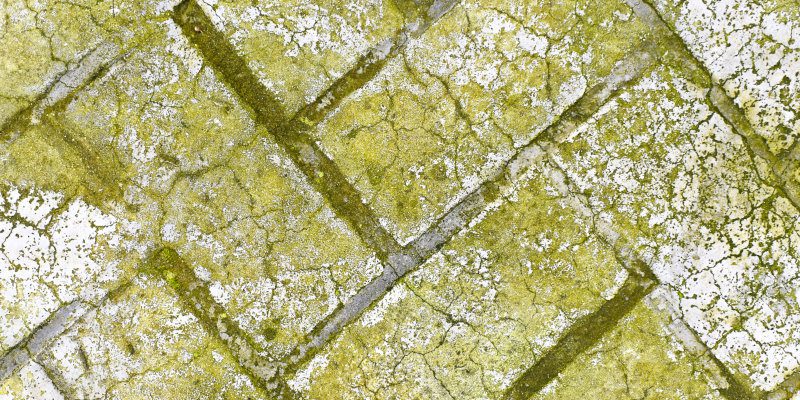 Why Concrete Turns Black, Green, or Brown Over Time, and How Professional Concrete Cleaning Can Help