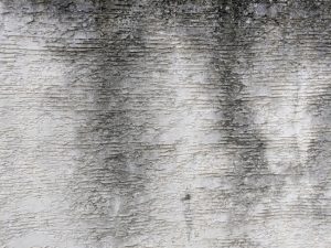 Why Stucco Cleaning Requires a Gentler Approach Than Other Surfaces