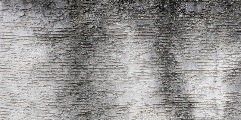 Why Stucco Cleaning Requires a Gentler Approach Than Other Surfaces