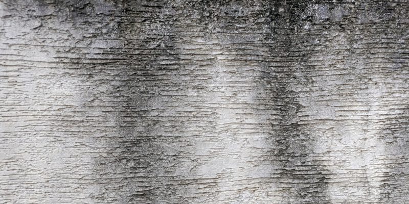 Why Stucco Cleaning Requires a Gentler Approach Than Other Surfaces