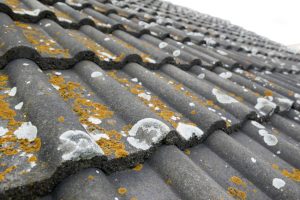 Why Roof Cleaning Is So Important in Humid Climates