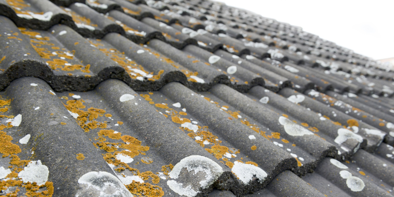 Why Roof Cleaning Is So Important in Humid Climates