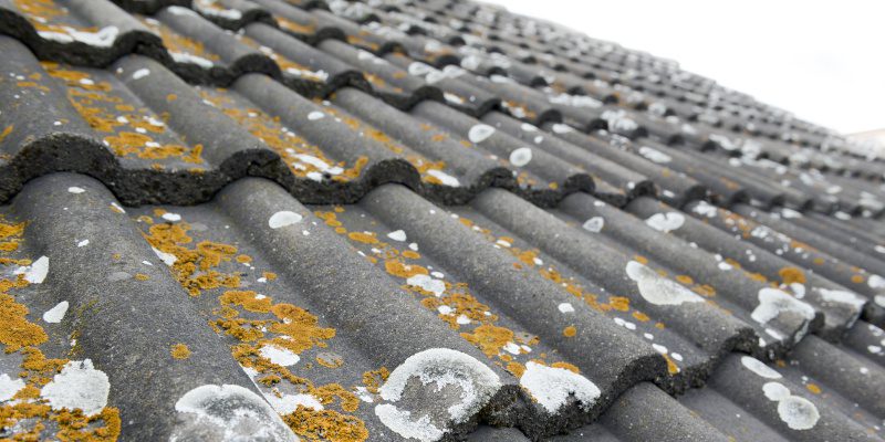 Why Roof Cleaning Is So Important in Humid Climates